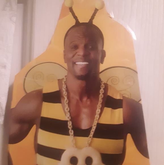 Meet your Posher, Damian - Picture 1 of 1